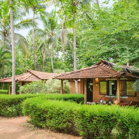 Nature'S Nest Eco Resort Goa, Near Dudhsagar Waterfalls Molem Eksteriør billede