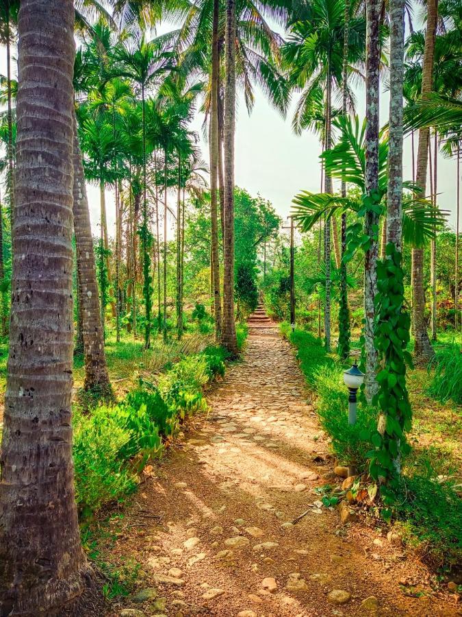 Nature'S Nest Eco Resort Goa, Near Dudhsagar Waterfalls Molem Eksteriør billede