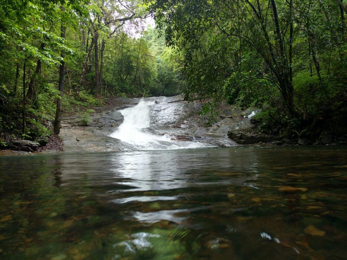 Nature'S Nest Eco Resort Goa, Near Dudhsagar Waterfalls Molem Eksteriør billede